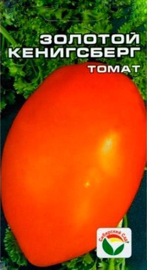 Сорт томата «новый кенигсберг»: описание, характеристика, посев на рассаду, подкормка, урожайность, фото, видео и самые распространенные болезни томатов