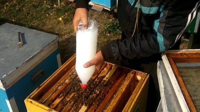Осеняя обработка пчел бипином