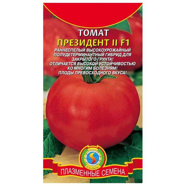 Томат "президент" f1: описание и характеристики сорта, рекомендации по уходу и выращиванию, урожайность, высота куста и фото плодов-помидоров