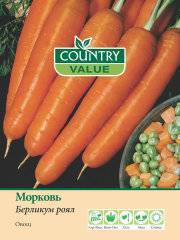 Неприхотливый и устойчивый к заболеваниям сорт моркови берликум роял