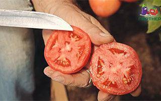 Сорта томатов: рапунцель