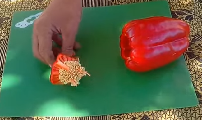 Как правильно подготовить семена перца к посадке
