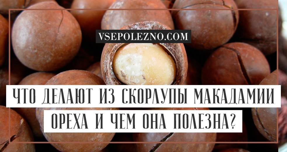 Польза и вред ореха макадамия для мужчин