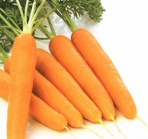 Морковь Настена