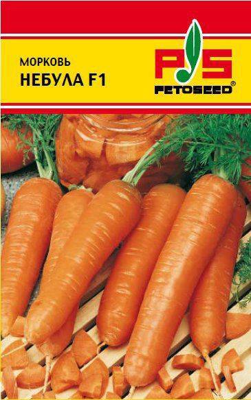 Морковь абледо f1: описание, фото, отзывы