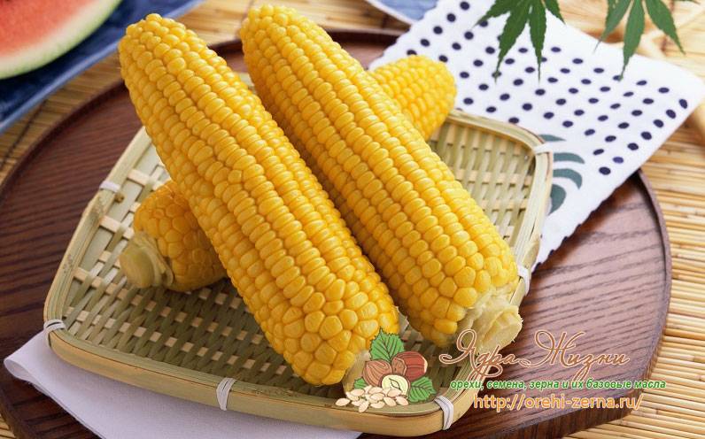 Вареная кукуруза: польза и вред для здоровья человека, калорийность