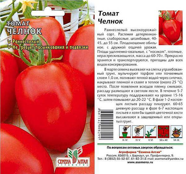 Описание, характеристика и выращивание томата сорта челнок