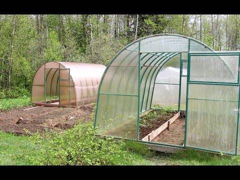 Выращивание томатов в теплице из поликарбоната: как создать правильные условия