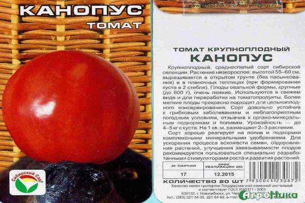 О томате канопус: описание сорта, характеристики помидоров, посев