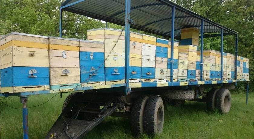 О прицепе для пчел для легкового автомобиля, телега для перевозки ульев