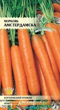 Самые лучшие сорта моркови для урала