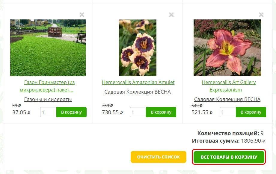 Вечнозеленые рододендроны: фото, описание, посадка и уход за самыми морозоустойчивыми сортами азалий