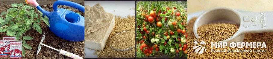 Дрожжи для удобрения помидоров: как использовать