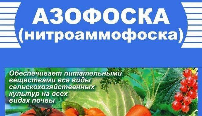 Нитрофоска удобрение: применение для томатов, виды составов
