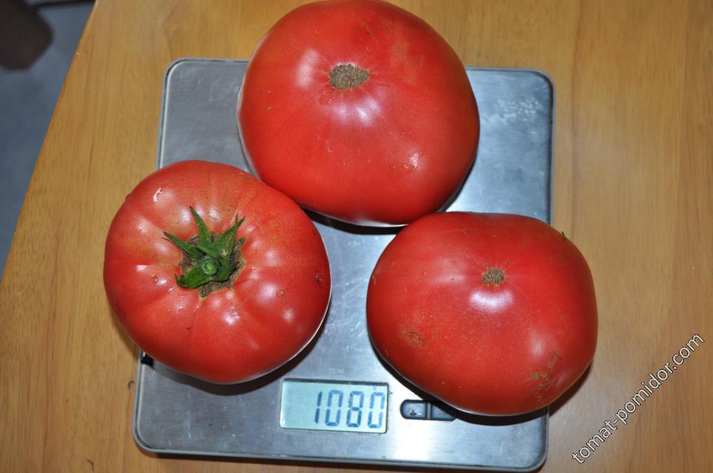 Новый аппетитный сорт томатов бабушкин секрет: описание сорта, фото, характеристика