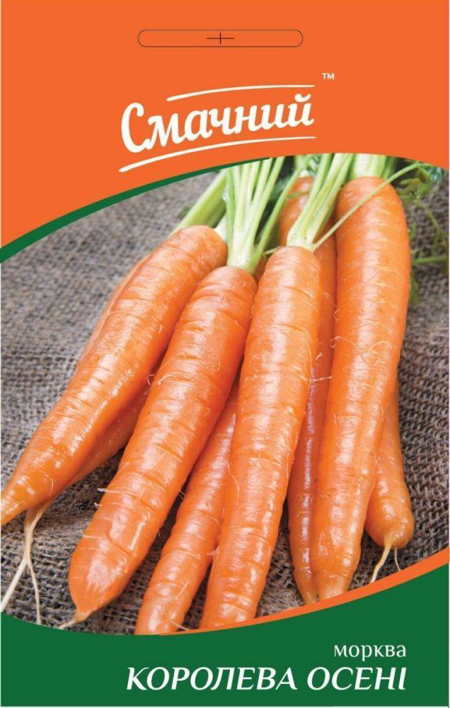 Морковь сорта «королева осени»: описание и основные особенности