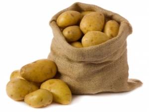 Характеристика картофеля сорта лабадия