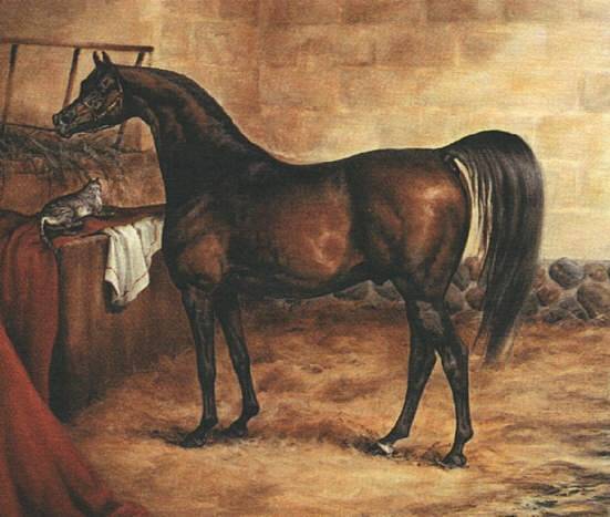 Казахская порода лошадей(адаев и джабе)
