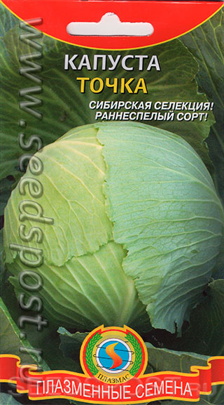 Характеристика и описание сорта капусты зимовка: фото, отзывы и особенности агротехники