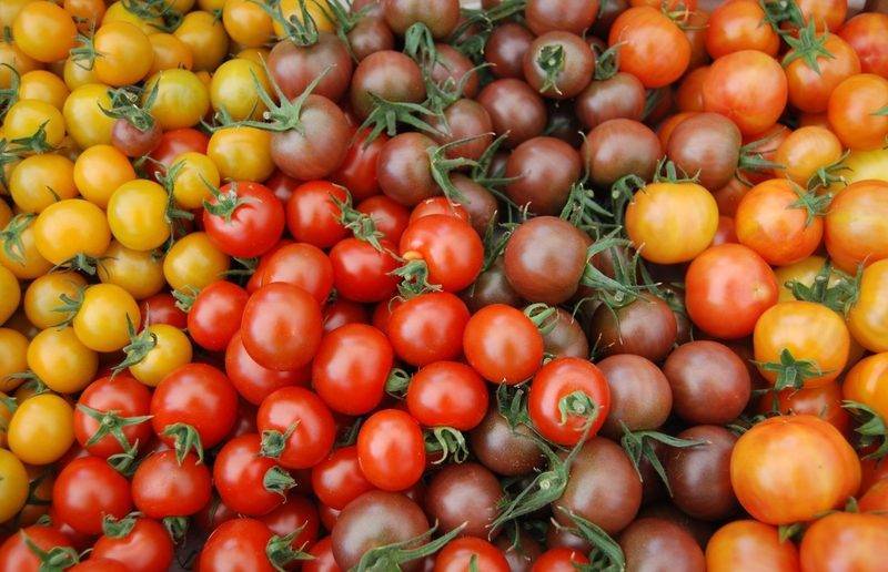 Описание популярного сорта и секреты выращивания — томат черри вишня красная