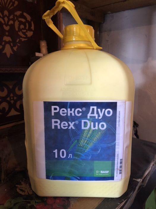 Рекс дуо – купить фунгицид рекс дуо, цена производителя