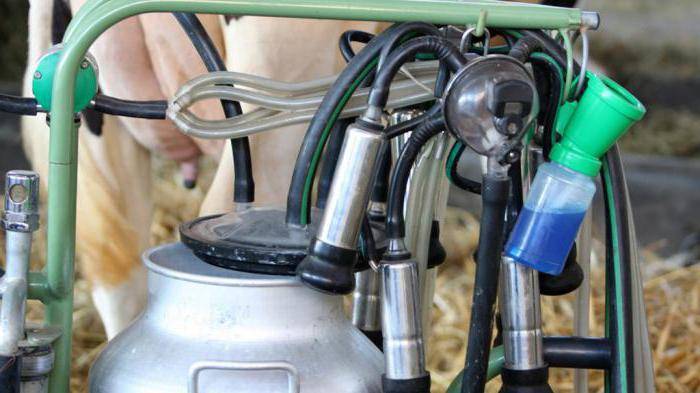 Достоинства турецких доильных аппаратов для коров