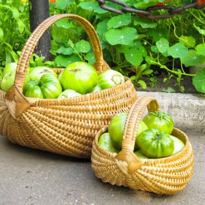 Как сохранить зеленые помидоры на зиму свежими