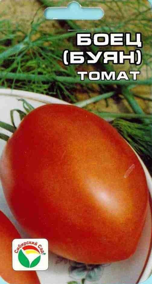 Описание сорта томатов боец (буян)