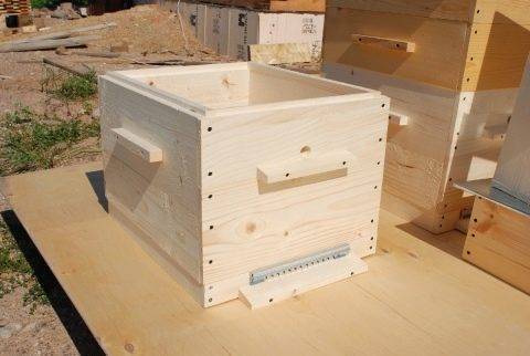 Как правильно организовать зимовку пчел на воле?