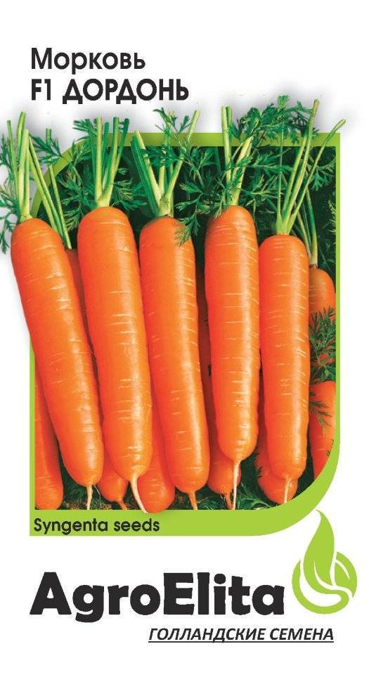 Морковь балтимор отзывы