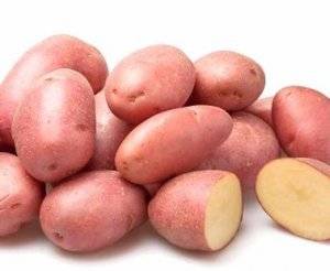 Сорт «зекура» — картофель прошлого века, но стойкий и вкусный