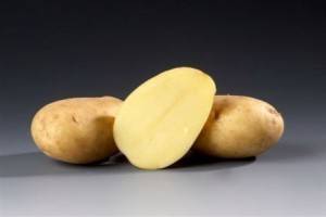 Картофель лабадия: описание сорта, характеристика и фото, нюансы выращивания и ухода