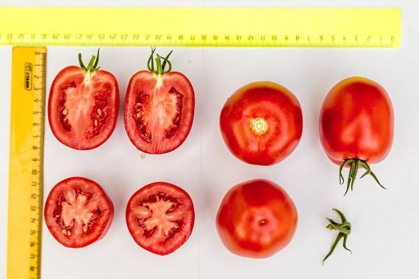 Хорошо зарекомендовавший себя — томат великосветский f1: подробное описание гибрида