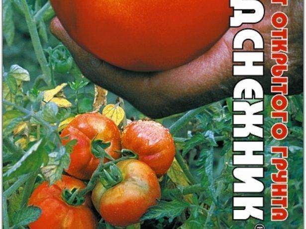 Подробный обзор томата подснежник и правила его выращивания