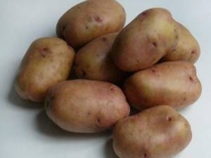 О картофеле рябинушка: семенной сорт картофеля, характеристики, агротехника