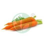 Морковь санта круз f1 — описание сорта, фото, отзывы, посадка и уход