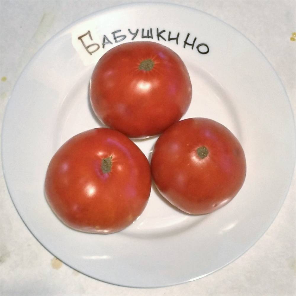 Томаты бабушкин подарок - самые вкусные томаты на вашей грядке: описание сорта