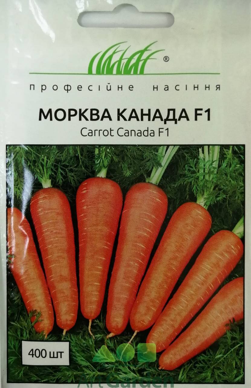 Морковь дордонь f1: отзывы, фото, описание сорта, характеристика, достоинства и недостатки, особенности выращивания