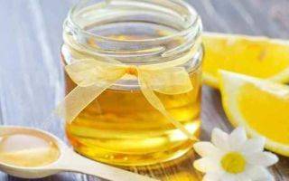Подсолнечный мед — польза и вред, полезные свойства и противопоказания, применение в народной медицине