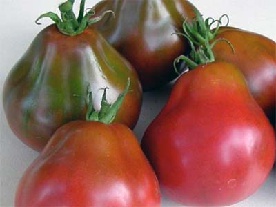 Разноцветный праздник: выращиваем томат «японский трюфель»