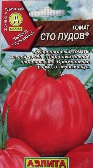 Сорт помидор сто пудов: описание и особенности выращивания