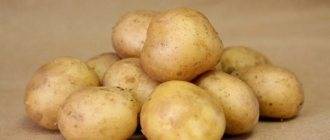 Сорт картофеля ажур: характеристика и описание сорта, фото, отзывы