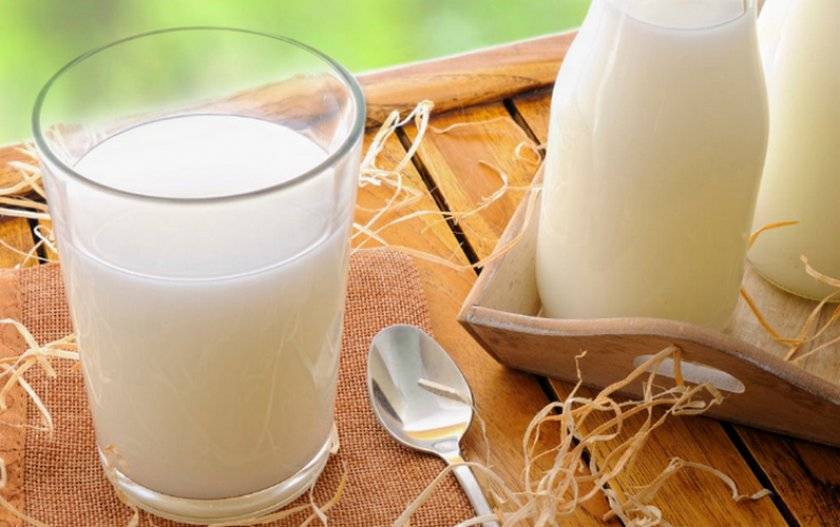 Почему у коровы горчит молоко? как избавиться от горечи?