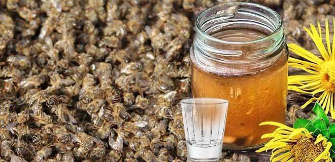 Пчелиный подмор: настойка на водке, при каких заболеваниях