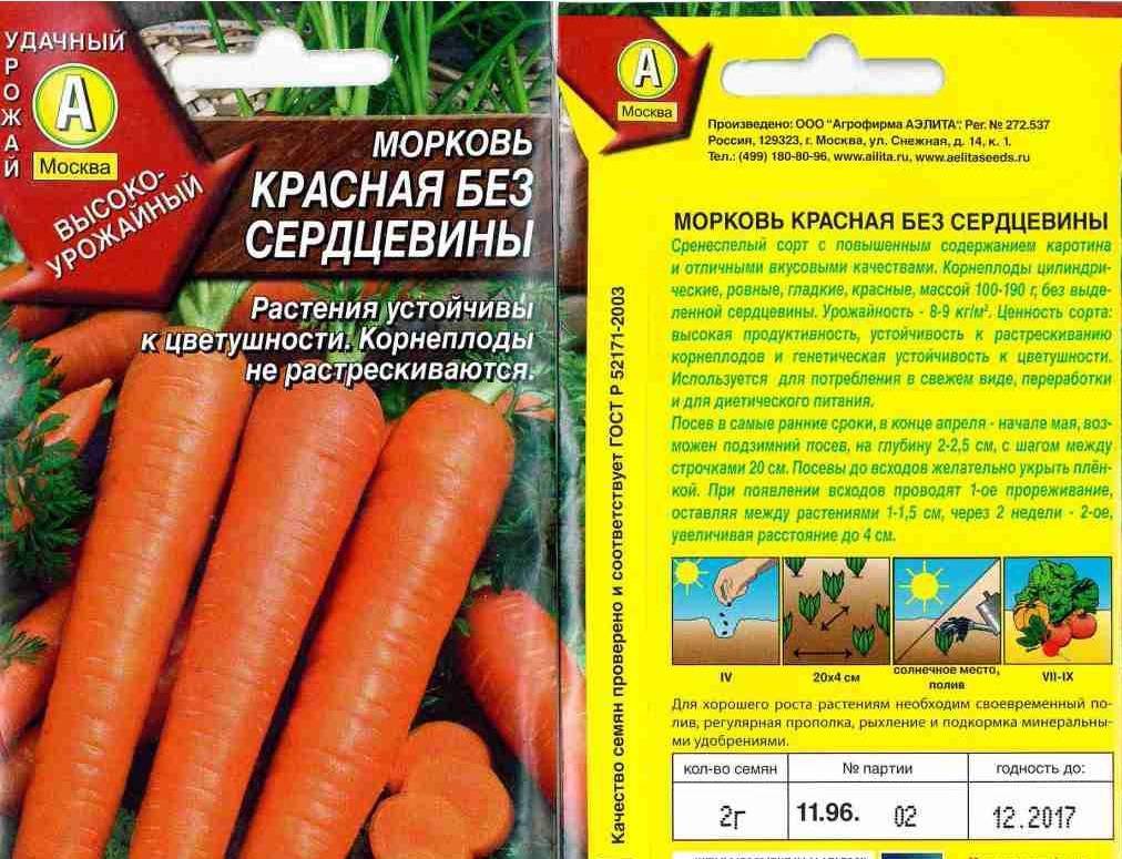Морковь — какой сорт выбрать для зимнего хранения
