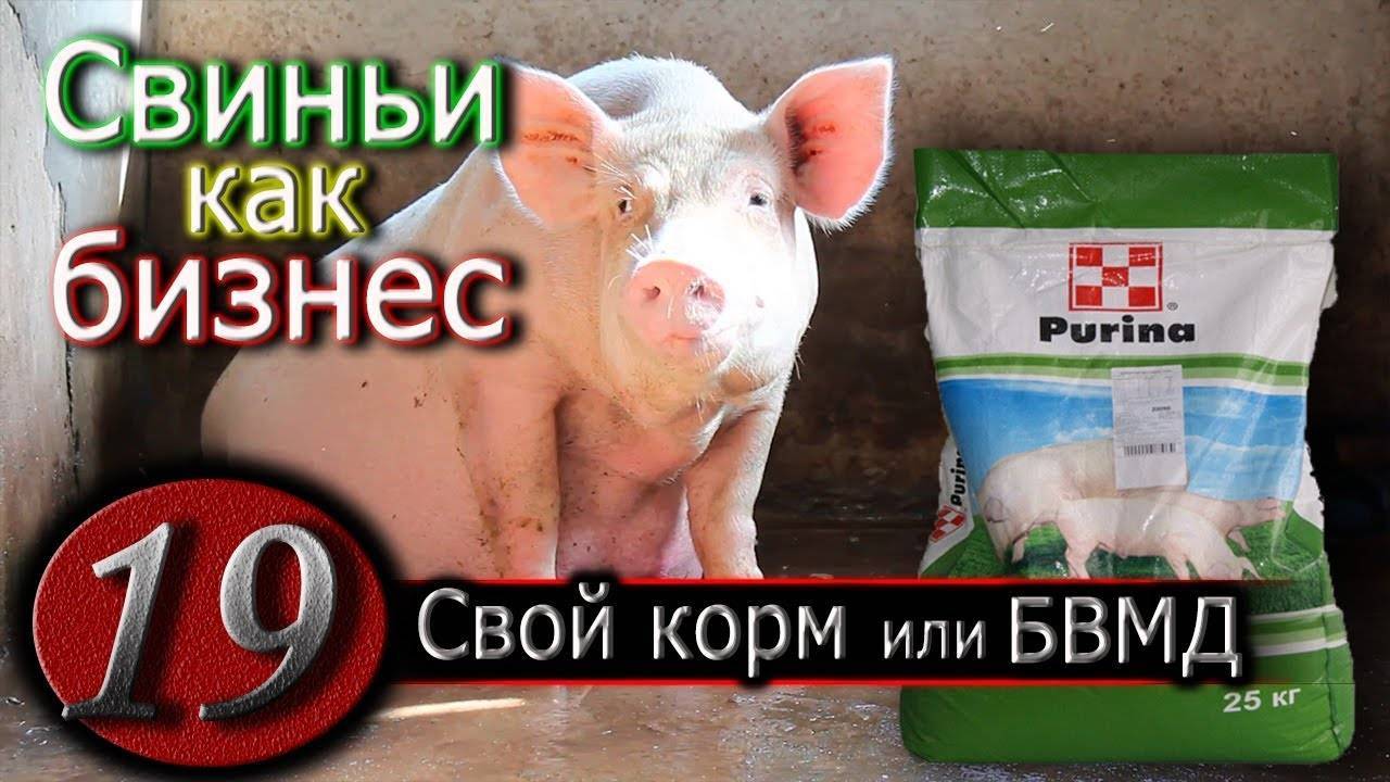 Корм для свиней пурина