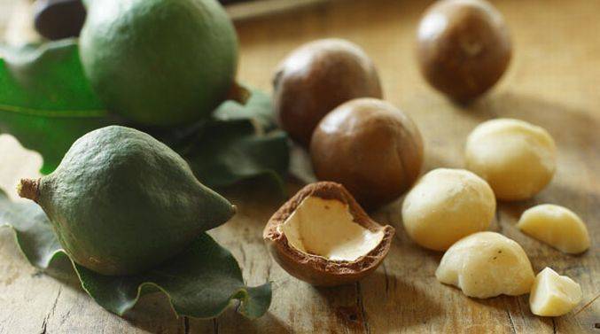 Австралийский королевский орех – макадамия. всё о полезных свойствах, применении и противопоказаниях