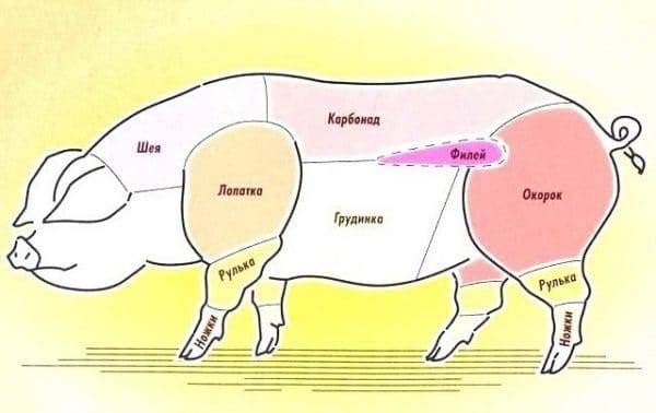 Свиная корейка: особенности и правила выбора этой части туши