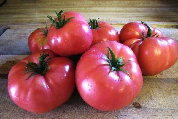 Детальное описание томата «микадо красный» — помидор с хорошим иммунитетом
