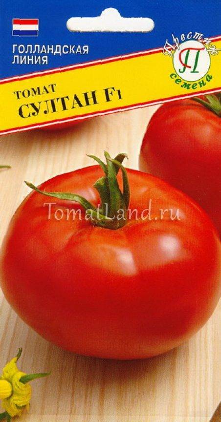 Характеристика сорта томатов торквей